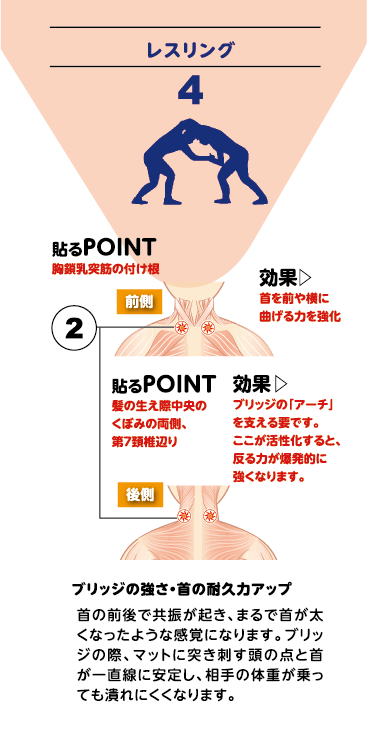 Q-ARC 10